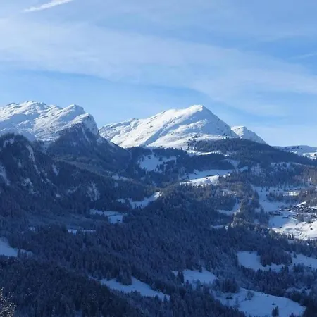 Alte Post Stpeter-arosa Holiday home Castiel